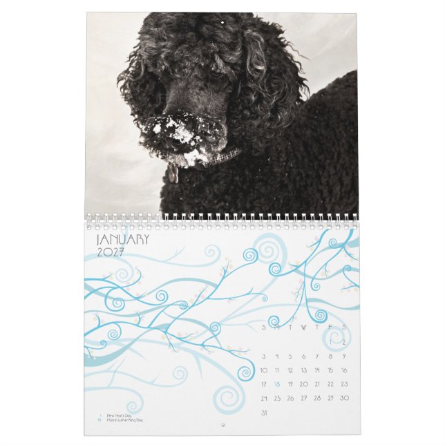 Calendário Caniche padrão 2010 (Jan 2027)