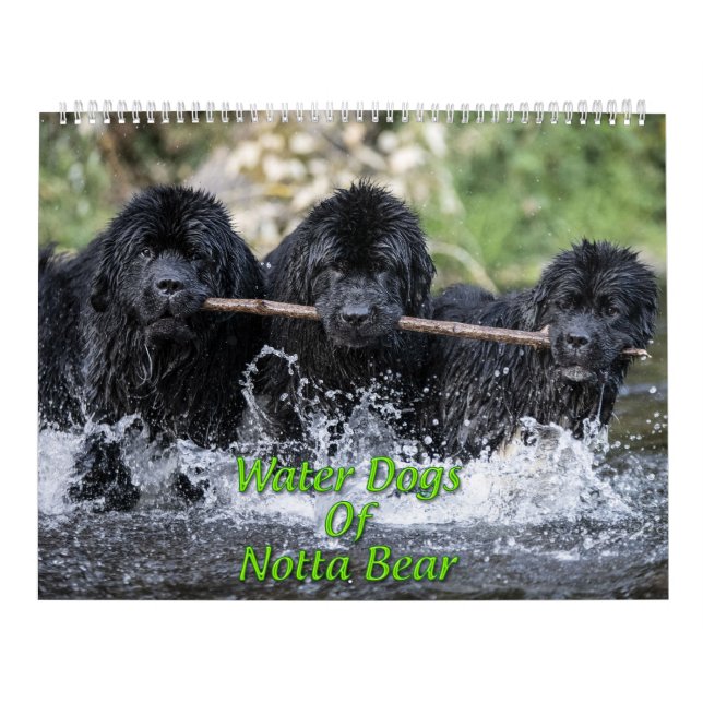 Calendário Caninos De Água De Não Urso (Capa)
