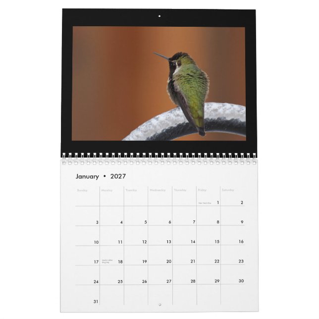 Calendário Cante uma canção nova diária (Jan 2027)