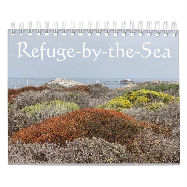 Calendário Canvas da Califórnia: Refúgio por Mar (Capa)