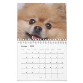 Calendário Cão