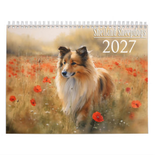 Calendário Cão de Ovelha Shetland 2027