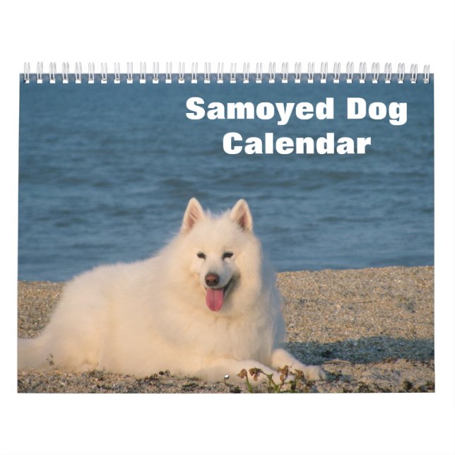 Calendário Cão Samoyed 2027 (Capa)