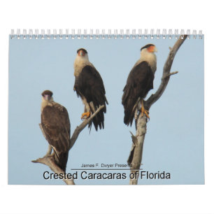 Calendário Caracaras de Florida