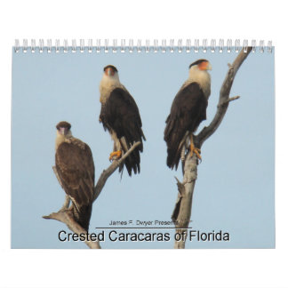 Calendário Caracaras de Florida