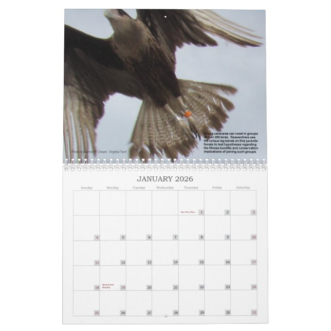 Calendário Caracaras de Florida (Jan 2026)
