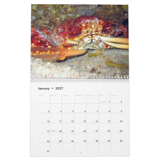 Calendário Caranguejos (calendário 2010) (Jan 2027)