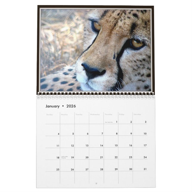 Calendário Caras do animal selvagem (Jan 2026)