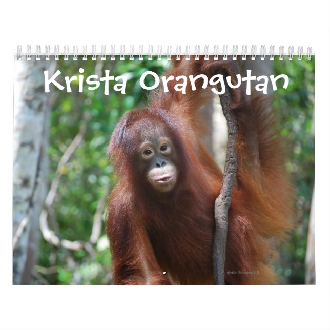 Calendário Caridade da vida selvagem de Krista Orangutan (Capa)