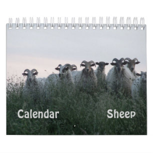 Calendário Carneiros