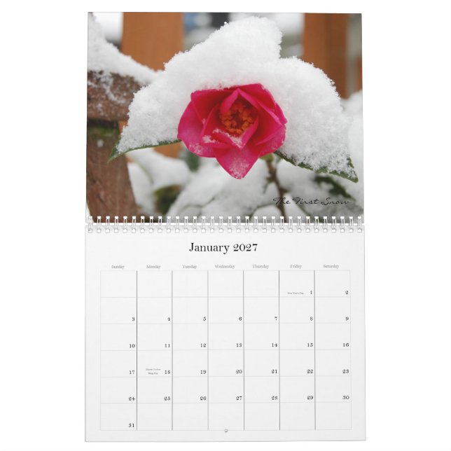 Calendário Carteira 2009 de Christopher Goettl (Jan 2027)