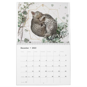 Calendário Cat 2023