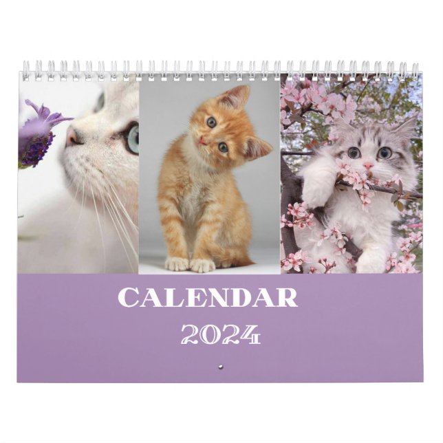 calendário cat 2024 - calendário recortado moderno (Capa)