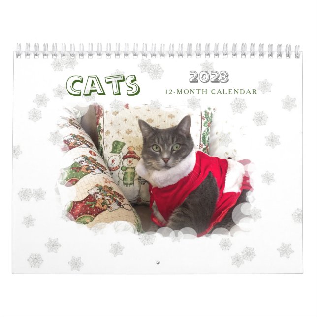Calendário Cats 2023 (Capa)