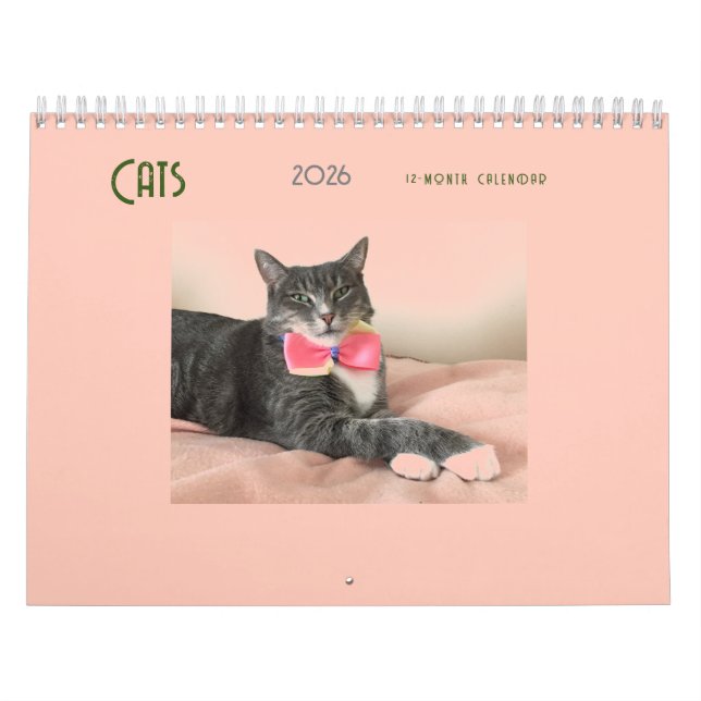 Calendário Cats 2025 (Capa)