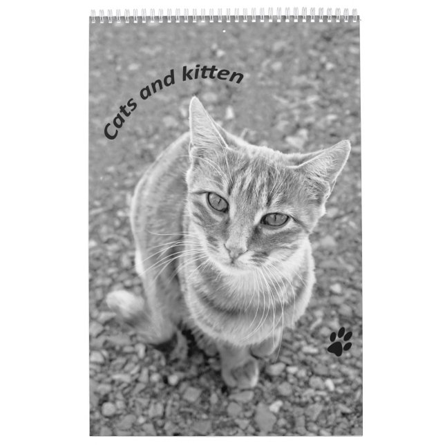 Calendário Cats and kitten (Capa)