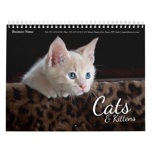 Calendário Cats Business Company Wall Calendar 2024 (Capa)