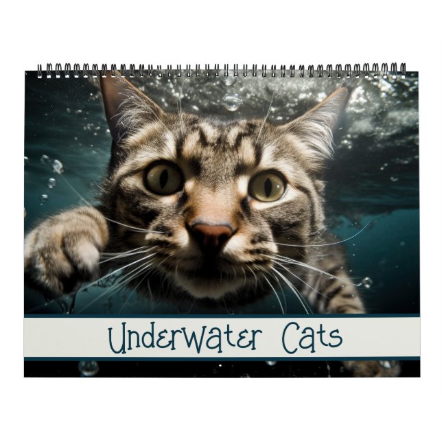 Calendário Cats Submarinos Fotografia Engraçada (Capa)