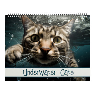 Calendário Cats Submarinos Fotografia Engraçada