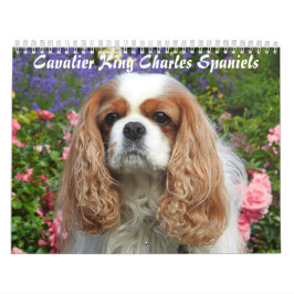 Calendário Cavalier King Charles Spaniel Cog 2