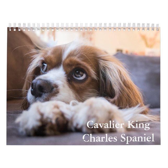Calendário Cavalier King Charles Spaniel Dog (Capa)