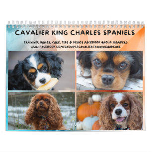 Calendário Cavalier King Charles Spaniel Grupo FB