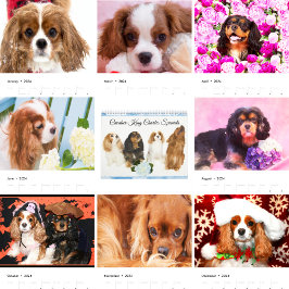 Calendário Cavalier King Charles Spaniels