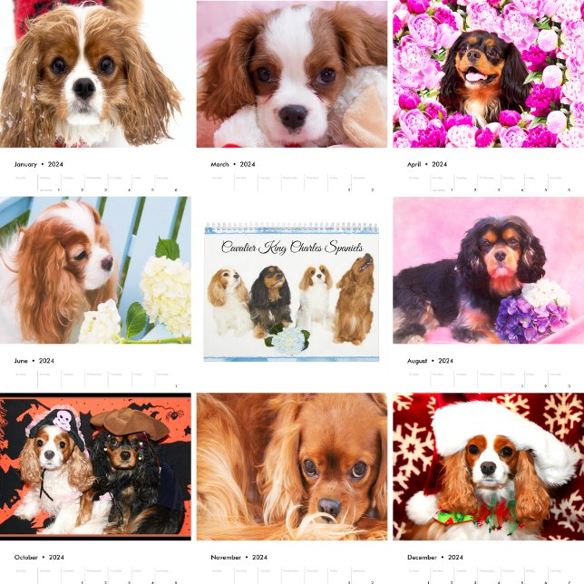 Calendário Cavalier King Charles Spaniels (Criador carregado)