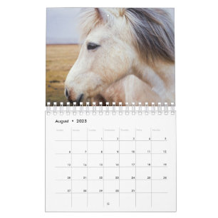 Calendário Cavalo