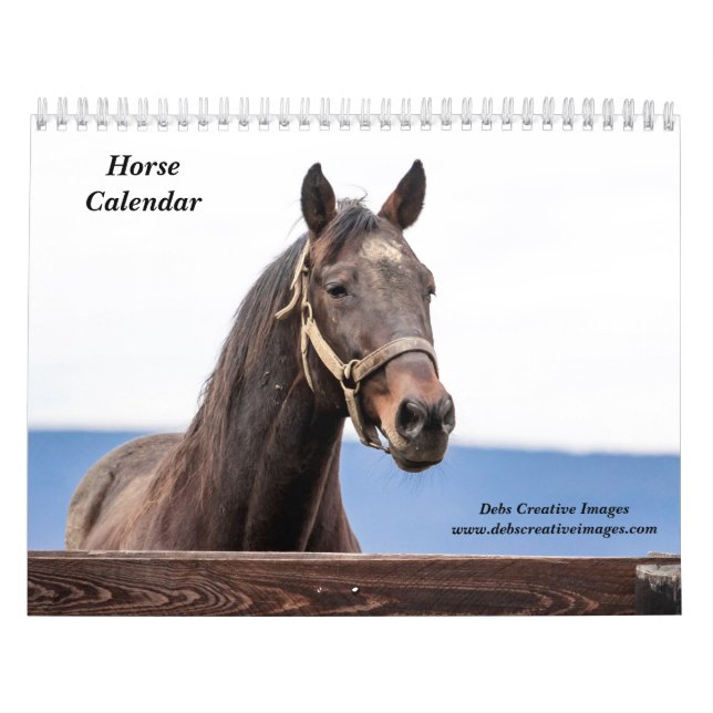 Calendário Cavalo 2026 (Capa)