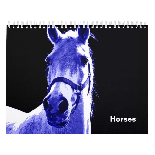 Calendário Cavalos (Capa)