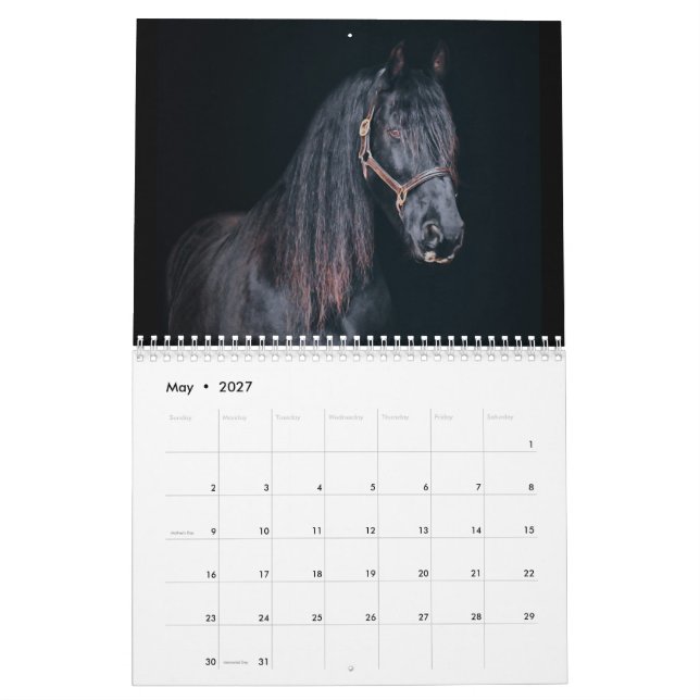 Calendário Cavalos de Fazenda Stargazer (Maio 2027)