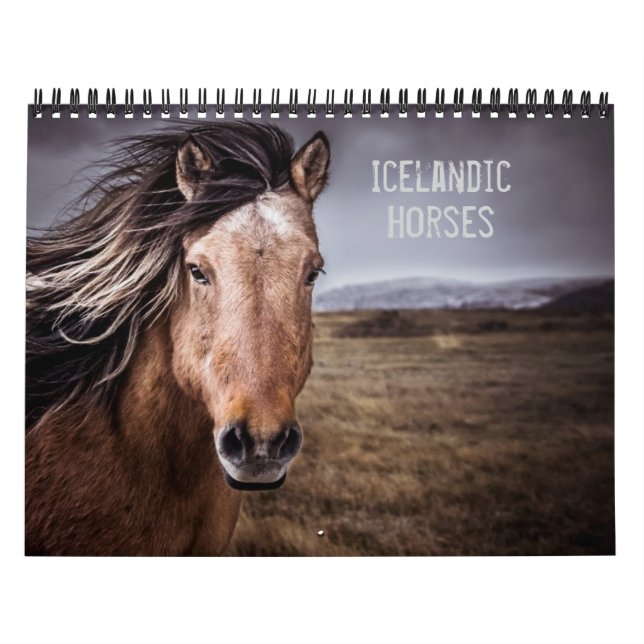 Calendário Cavalos islandêses (Capa)