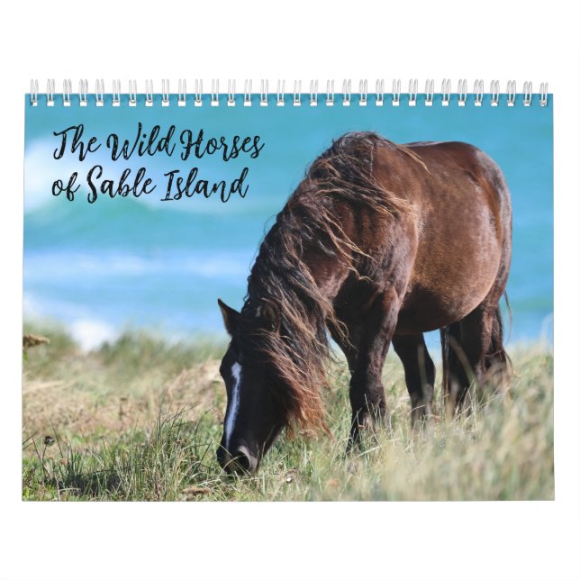 Calendário Cavalos Selvagens da Ilha de Sable (Capa)