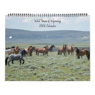 Calendário Cavalos Selvagens de Wyoming
