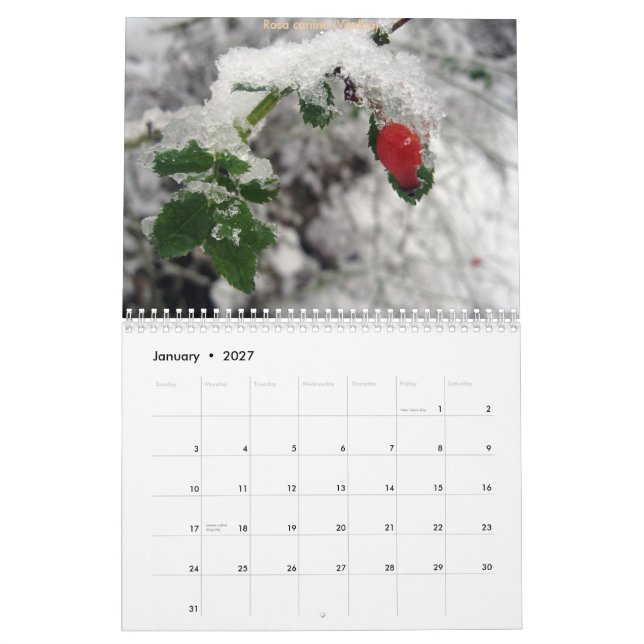 Calendário CdG 2010 (Jan 2027)