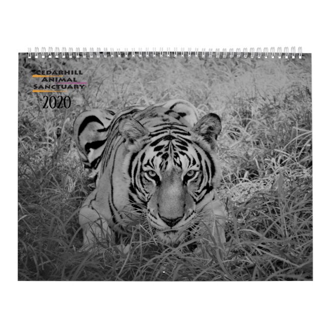 Calendário Cedarhill 2020 (Capa)
