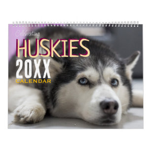 Calendário Célebre o Muro de Cães Huskies