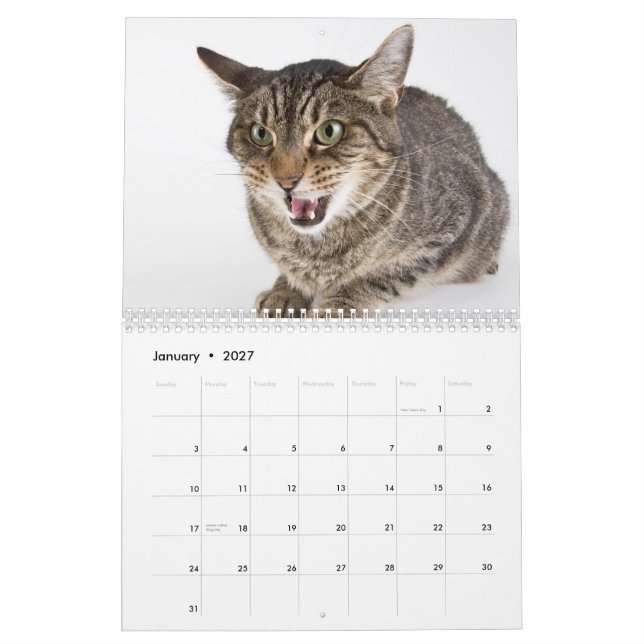 Calendário Cenas não editadas dos gatos do abrigo (Jan 2027)