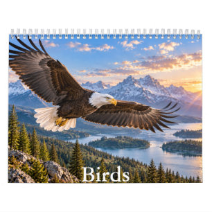 Calendário Cênico de Aves Lindas da Natureza