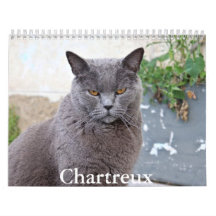 Calendário Chartreux