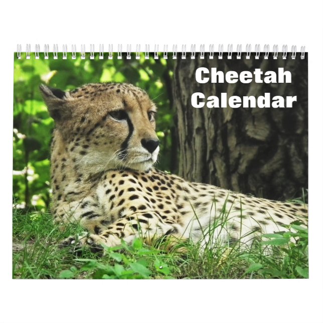 Calendário Cheetah 2025 (Capa)