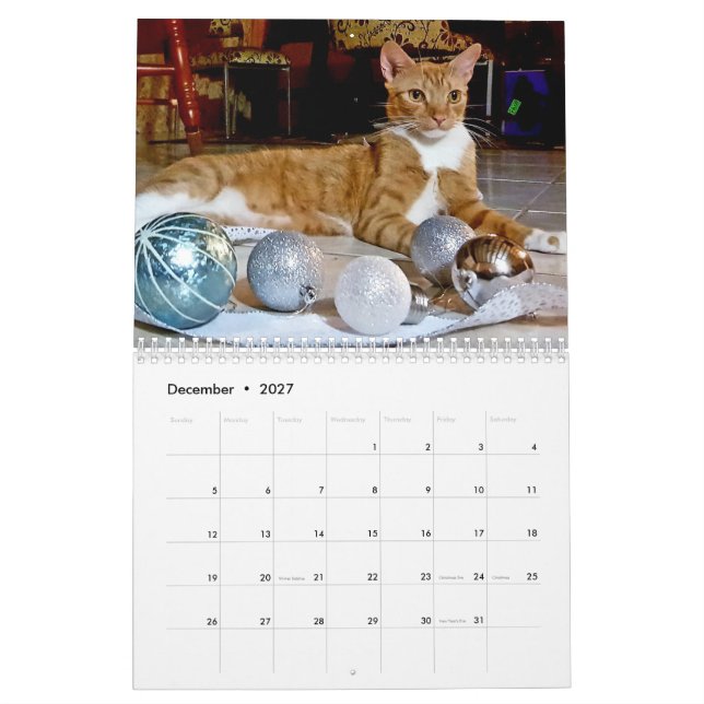 Calendário Cheeto Dacutecat 2020 (Dez 2027)
