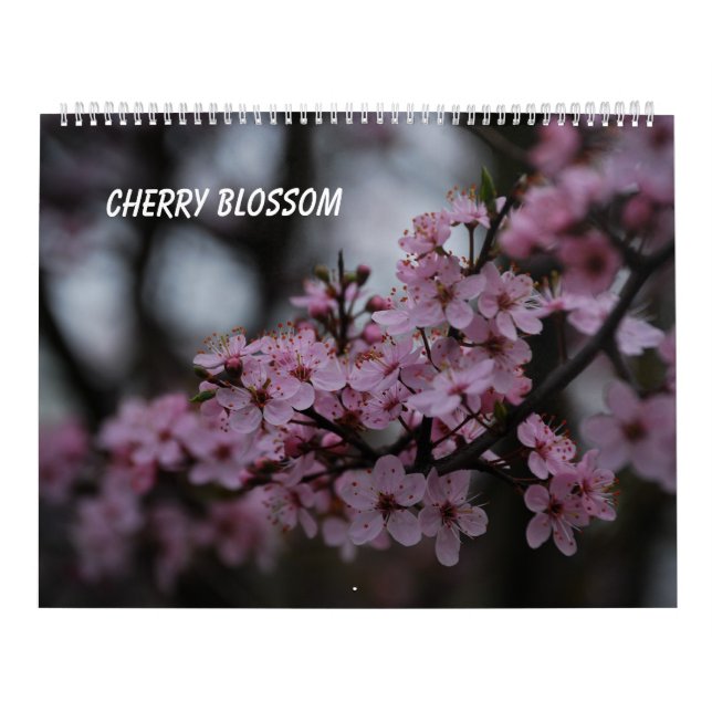 Calendário Cherry Blossom (Capa)