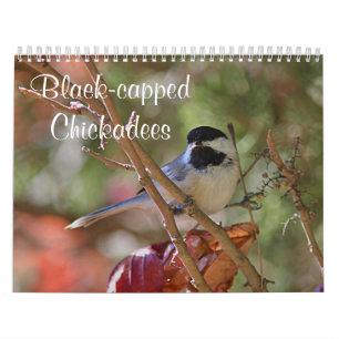 Calendário Chickadee