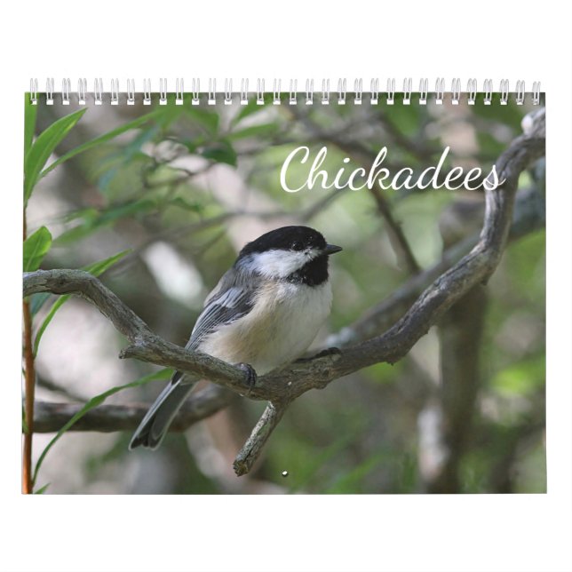 Calendário Chickadees (Capa)