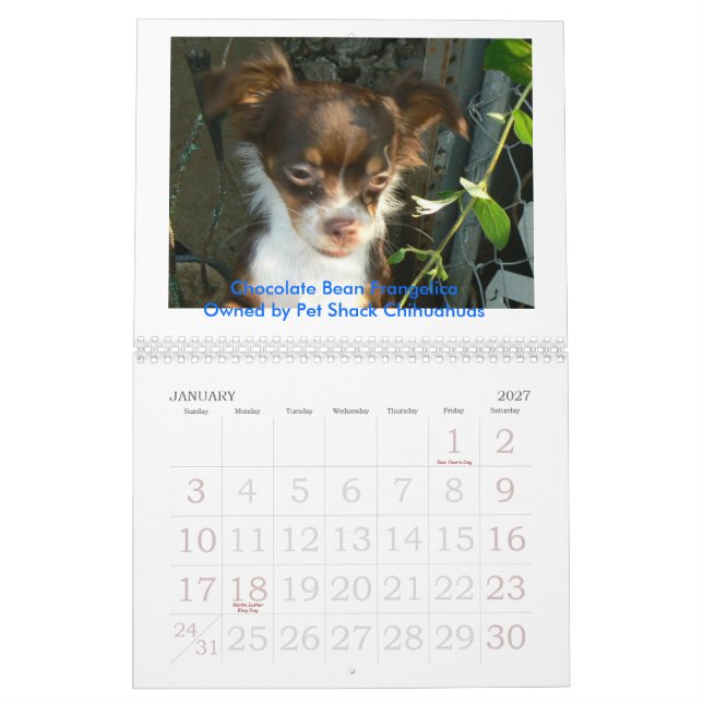 Calendário Chihuahua 2011 Calander (Jan 2027)