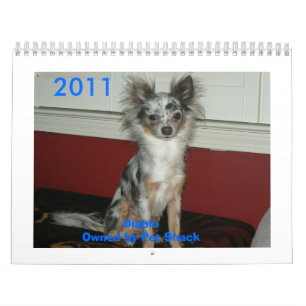 Calendário Chihuahua 2011 Calander