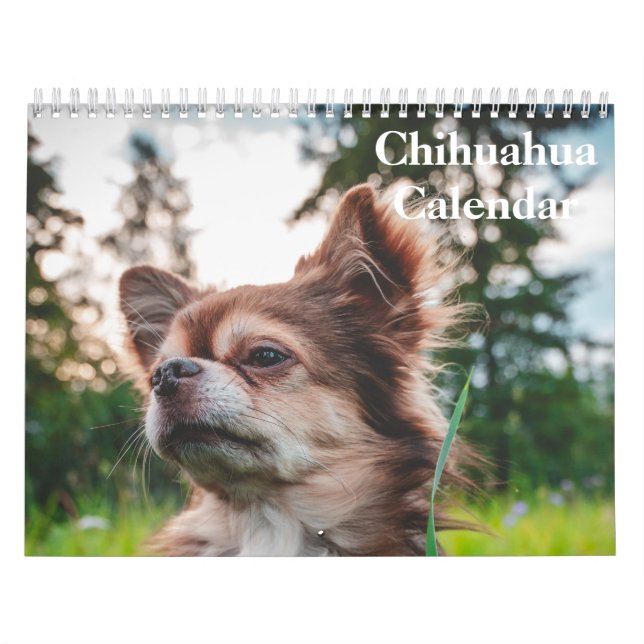 Calendário Chihuahua 2025 (Capa)