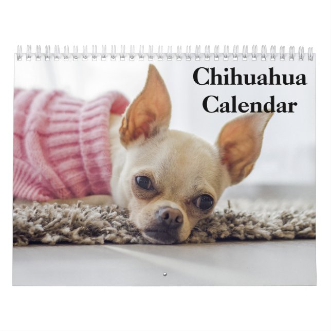 Calendário Chihuahua 2025 (Capa)
